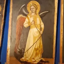 ARCHITETTODELLANIMA