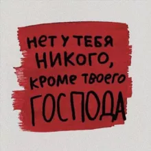 Книжный лис)