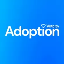 Vetcity Adoption