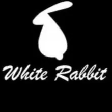 ️️ WHITE RABBIT
