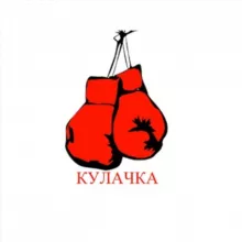 Чисто кулачка