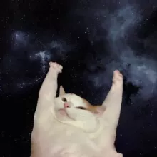 Непеременная Ё