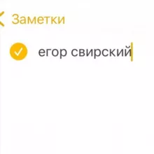егор свирский