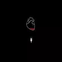 Usama_doc