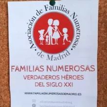 Familias Numerosas