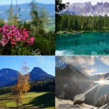 Südtirol in allen Farben
