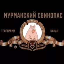 Мурманский свинопас