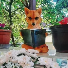 Лисий Нос - сила 🦊