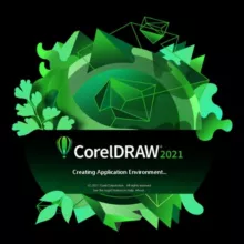 کورل دراو ، هم آموزی