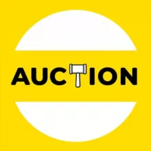 SMART STORE auction 🎲