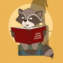 Литература ЕГЭ 100БАЛЛОВ