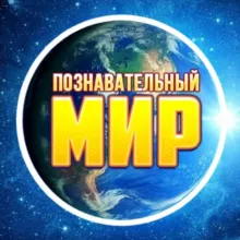 Познавательный Мир 🌍