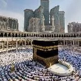 PsychoBob Club🔌🍄