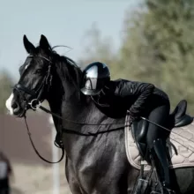 𝙮𝙠𝙤𝙪𝙯’’𝙯𝙯🥂🃏