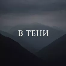 в тени