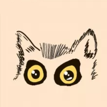 LeMoor Cloob инфо