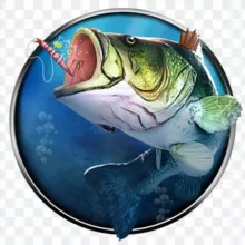 Рыбалка в Москве и Московской области