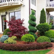 Ландшафтный дизайн. Озеленение. Сад