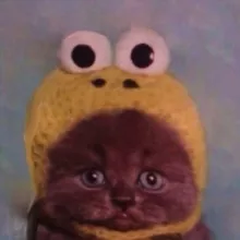 Bastardcore (Бастардкор)