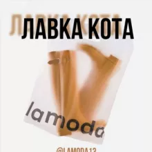 Lamoda🐈