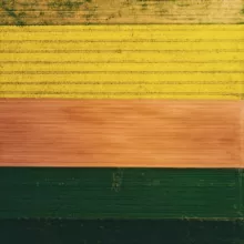 Обои для телефона