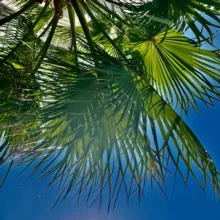 Дубайский айс латте