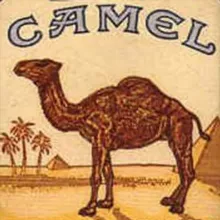 Сигареты опт Москва