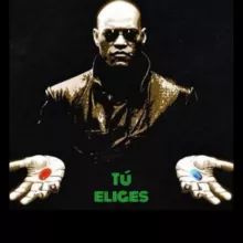 Saliendo de la Matrix