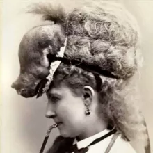 Викторианская лепëха