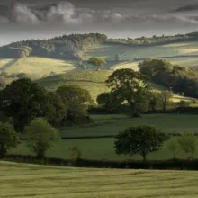 𝑠𝑚𝑒𝑙𝑙 𝑜𝑓 𝑟𝑎𝑖𝑛