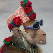 Смешные обезьяны)