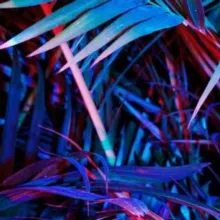 аутизм и перфекционизм