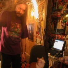 Boulevard of broken cats🌻👨‍🌾