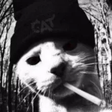 𝗫𝗜𝗜𝗩 #𝐓𝐇𝐄𝐖𝐖