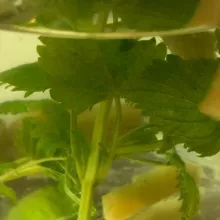 Gesundheits-Tipps und Austausch