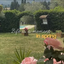 ℒ𝒾𝒻ℯ 𝒾𝓈 𝒶 𝓂ℴ𝓂ℯ𝓃𝓉✨