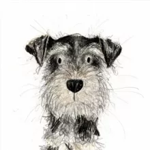 Собачка дня