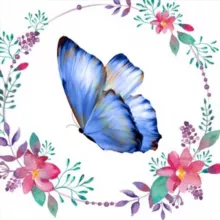 🦋 Inspiration 🦋