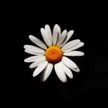 Психология | Счастье 🌼