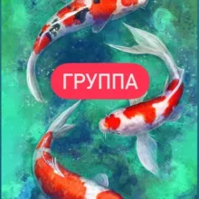 Психологи, групповики, практикующие психологи