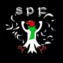 Satirisch,politisch,faktisch