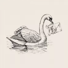 • Твоя Муза 🦢 •