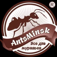 AntsMinsk Official
