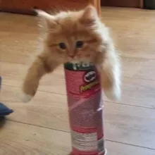 Анекдоты с пикчами