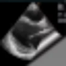 Doctor-Soft Echo News