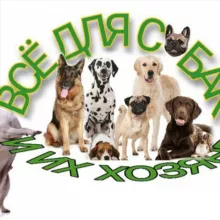 Пошив одежды для собак 🐶 | Одежда для собак