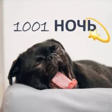1001 НОЧЬ✨