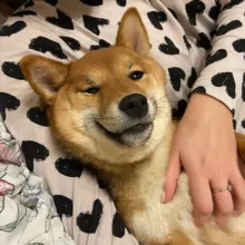 Та самая Ками