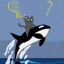 Дайте кошке слово!