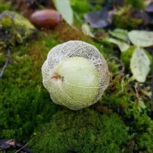 Художественная гимнастика 🌱Садырова Ирина Юрьевна🌱 irina-sadyrova.ru 🌱